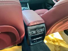 BMW 3 Series 320Li M Sport Package - ფოტო 18