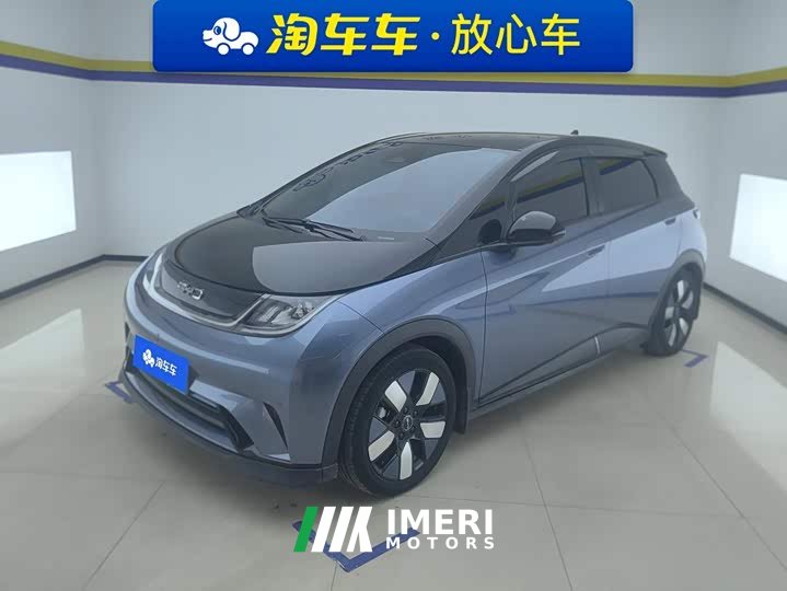 BYD Dolphin 2025 520km Knight Edition - ავტომობილი ჩინეთიდან