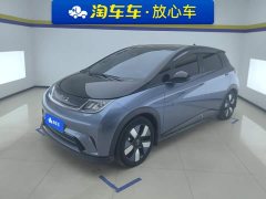 BYD Dolphin 2025 520km Knight Edition - ფოტო 1