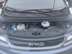 BYD Dolphin 2025 520km Knight Edition - ფოტო 10