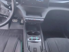 BYD Dolphin 2025 520km Knight Edition - ფოტო 16