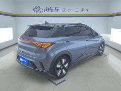 BYD Dolphin 2025 520km Knight Edition - ფოტო 3