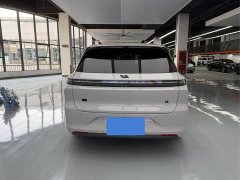 Li Auto L6 Pro - ფოტო 14