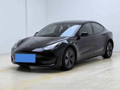 Tesla Model 3 Standard Range RWD Upgrade - ფოტო 1