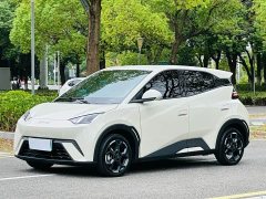 BYD Seagull Glory Edition 305km Freedom Version - ფოტო 1
