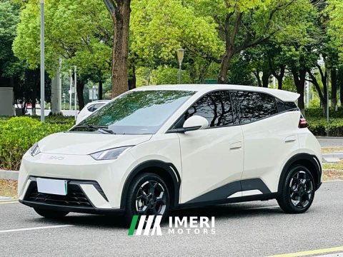 2024 BYD Seagull Glory Edition 305km Freedom Version - ავტომობილი ჩინეთიდან