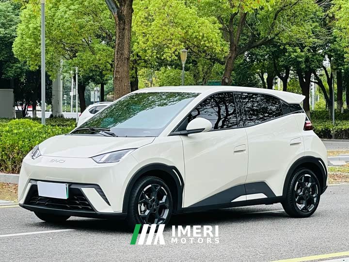 BYD Seagull Glory Edition 305km Freedom Version