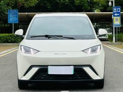 BYD Seagull Glory Edition 305km Freedom Version - ფოტო 2
