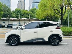 BYD Seagull Glory Edition 305km Freedom Version - ფოტო 3
