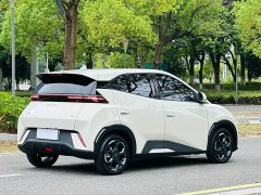 BYD Seagull Glory Edition 305km Freedom Version - ფოტო 7