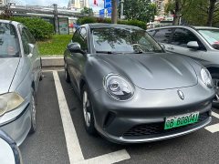 ORA Good Cat 430km Luxury - ფოტო 3