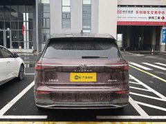 Volkswagen Viloran 380TSI Zunchi Edition - ფოტო 4
