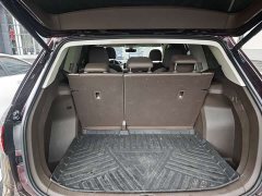 Volkswagen Viloran 380TSI Zunchi Edition - ფოტო 8