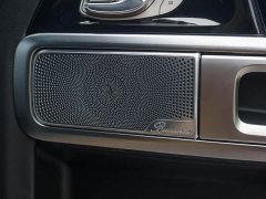 Mercedes-Benz G-Class 2021 G 500 Inferno Special Edition - ფოტო 18