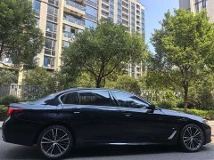 BMW 5 Series Facelift 530Li Premier M Sport Package - ფოტო 15