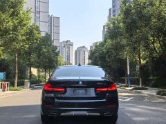 BMW 5 Series Facelift 530Li Premier M Sport Package - ფოტო 16