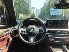 BMW 5 Series Facelift 530Li Premier M Sport Package - ფოტო 7