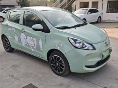 Changan Benben E-Star 2021 National Colorful Edition (LFP, 31.86 kWh) - ფოტო 3