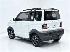 Geely Panda 200km Panda Knight - ფოტო 12