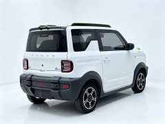 Geely Panda 200km Panda Knight - ფოტო 13