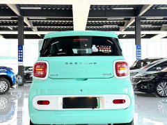 FAW Besturn Xiaoma 222km Lightning Edition - ფოტო 2