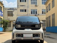 Baojun KiWi EV Designer Lite Edition LFP Battery - ფოტო 2