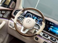 Mercedes-Benz Maybach GLS 2022 GLS 600 4MATIC Prestige - ფოტო 16