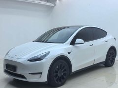 Tesla Model Y Long Range All-Wheel Drive - ფოტო 1