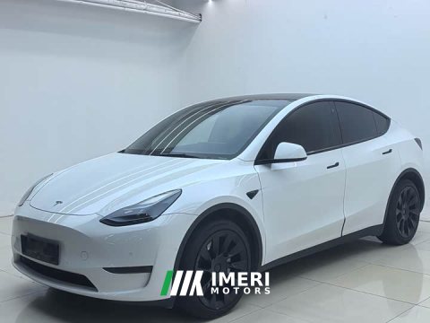 2023 Tesla Model Y Long Range All-Wheel Drive - ავტომობილი ჩინეთიდან