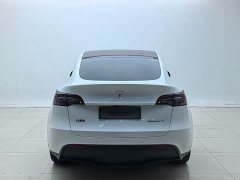 Tesla Model Y Long Range All-Wheel Drive - ფოტო 10