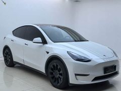 Tesla Model Y Long Range All-Wheel Drive - ფოტო 3