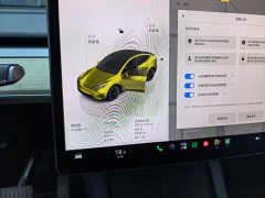 Tesla Model Y Long Range All-Wheel Drive - ფოტო 8