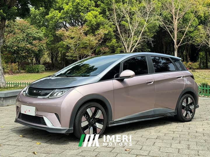 BYD Dolphin 401km Knight Edition - ავტომობილი ჩინეთიდან