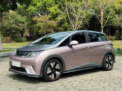 BYD Dolphin 401km Knight Edition - ფოტო 1