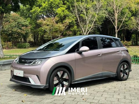 2022 BYD Dolphin 401km Knight Edition - ავტომობილი ჩინეთიდან