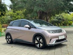 BYD Dolphin 401km Knight Edition - ფოტო 3