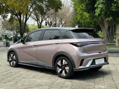 BYD Dolphin 401km Knight Edition - ფოტო 6