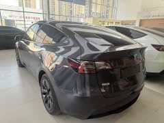 Tesla Model Y Rear-Wheel Drive - ფოტო 8