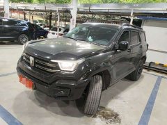 Tank 400 New Energy 2024 Hi4-T Off-Road Version - фото 1