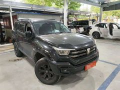 Tank 400 New Energy 2024 Hi4-T Off-Road Version - фото 2