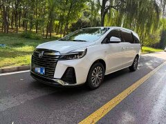 Buick GL8 Land Executive Cabin 652T Luxury - ფოტო 1