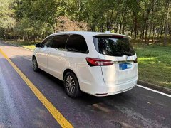 Buick GL8 Land Executive Cabin 652T Luxury - ფოტო 4