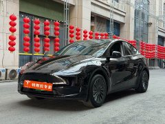 Tesla Model Y Rear-Wheel Drive - ფოტო 1