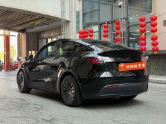 Tesla Model Y Rear-Wheel Drive - ფოტო 11