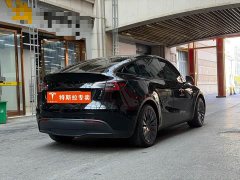 Tesla Model Y Rear-Wheel Drive - ფოტო 12