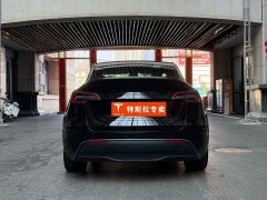 Tesla Model Y Rear-Wheel Drive - ფოტო 13