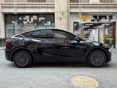 Tesla Model Y Rear-Wheel Drive - ფოტო 14