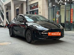 Tesla Model Y Rear-Wheel Drive - ფოტო 3