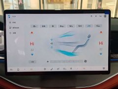 BYD Tang New Energy Smart Driving DM-i 175KM Premium Edition - ფოტო 12