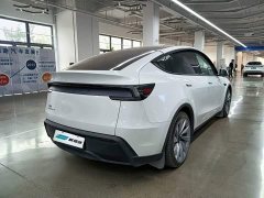Tesla Model Y Long Range All-Wheel Drive - ფოტო 5